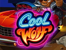 Cool Wolf