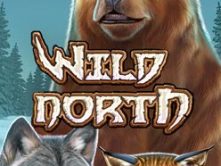 Wild North